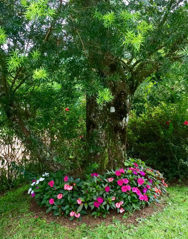 Chale Aconchegante Villa Monte Verde  Ngoại thất bức ảnh